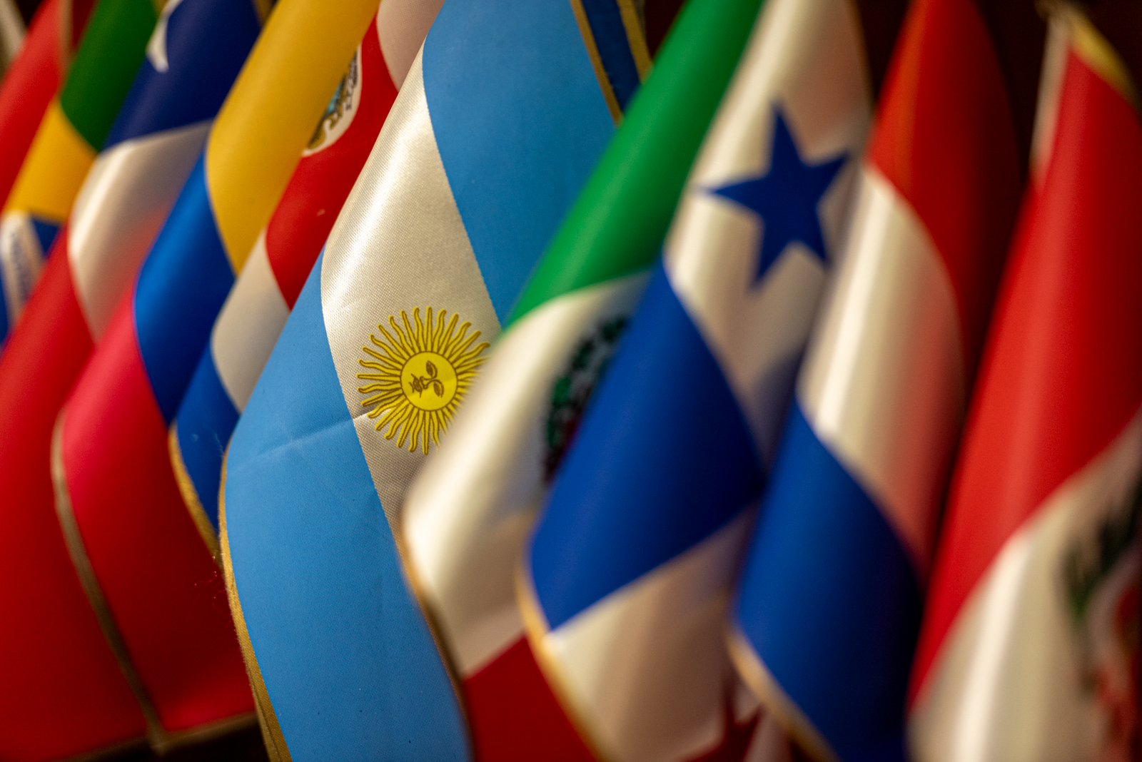 El plano internacional: cooperación, conocimiento y control